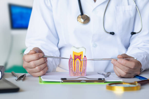 Best Emergency Root Canal Therapy in Battle Creek, MI